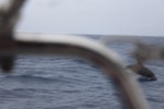 resIMG_20160609_152142_5993.JPG
